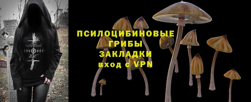 ссылка на мегу онион  купить   Кореновск  Галлюциногенные грибы прущие грибы 